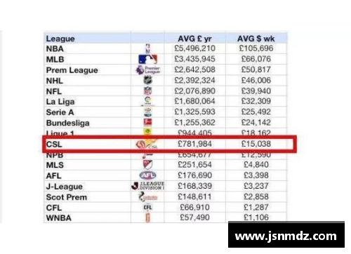 雅思运动员薪资揭秘：各大体育明星收入对比与分析
